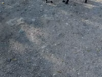 Cabra, Nubian Goat — foto 5