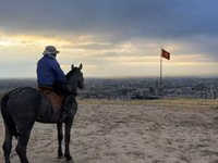 Адуу, Hanoverian — 2 зураг