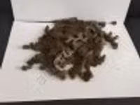 КЗП (кормо-зерновой продукт) — foto 3