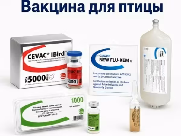 Вакцины для сельскохозяйственной птицы