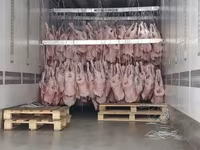 Баранина субпродукты — फ़ोटो 4