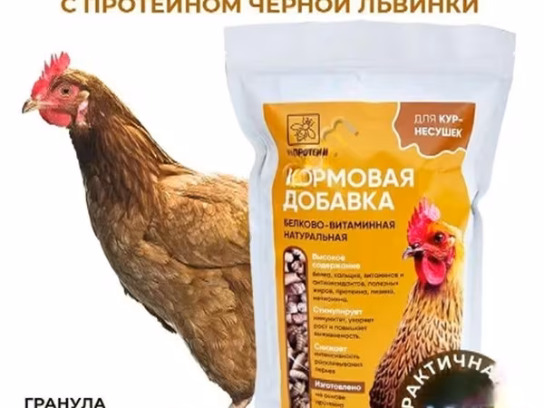 Витамины для кур несушек с Черной львинкой