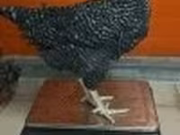 Dominant — Foto 3