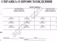 Carnero, Dorper sheep — foto 8