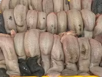 Баранина, конина субпродукты куплю на постоянной основе. Viber WhatsApp Telegram. — الصورة 5