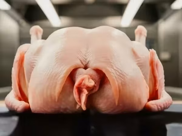 Тушку индейки прямо от производителя