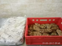 Почки говяжьи — 照片 1