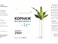 Силосная закваска сухая Бионер — फ़ोटो 3