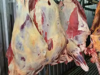 Полутуши,четверт говяжьи охл/зам 1,2 кат — 5 зураг