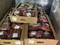 Продажа КРС — foto 5