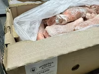 Голень индейки — 照片 2