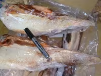 Говяжий язык без гортани бразилия/ halal — फ़ोटो 4