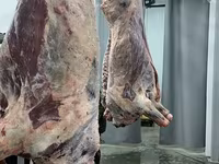 Говядина 1 кат полутуши охл и зам — 2 зураг