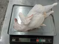 Тушка кур 2 сорт зам сибагро — फ़ोटो 1