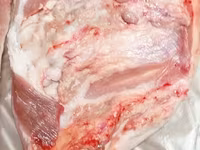Щековина (баки) в шкуре — 照片 2