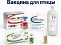 Вакцины для сельскохозяйственной птицы — фото 2