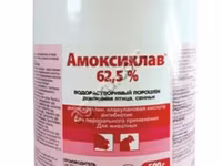 Амоксиклав 62,5% / Амоксициллина тригидрат и клавулановая кислота. — फ़ोटो 1