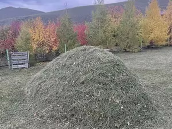 Уургийн агууламж өндөр малын тэжээл