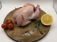 Кость трубчатую куриную — Foto 3