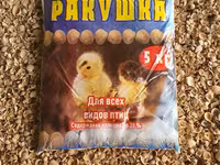 Ракушка морская кормовая — 1 зураг