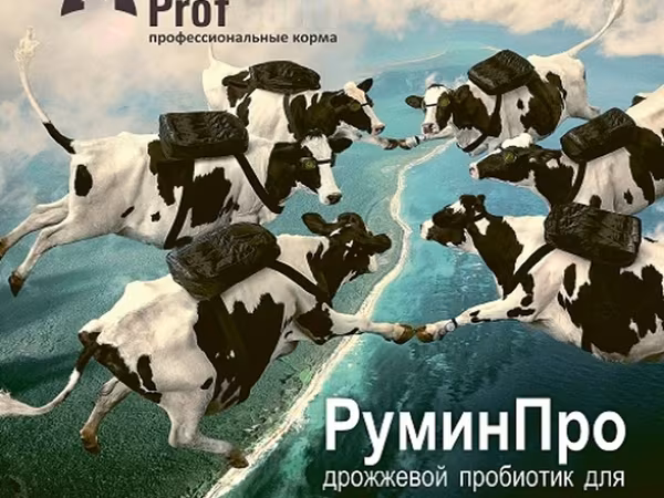 Дрожжевой пробиотик РуминПро
