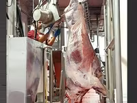 Мясо говядины от производителя оптом РБ — photo 2