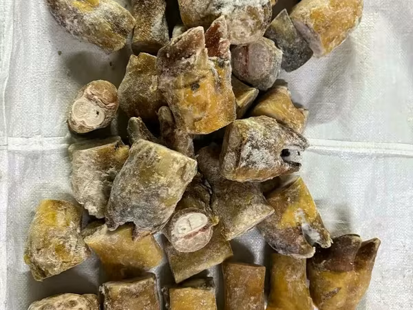 Ноги говяжьи срезка 2 кат