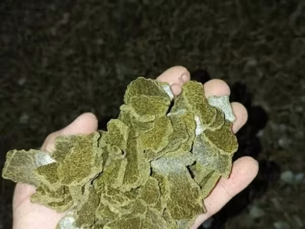 Жмых рапсовый