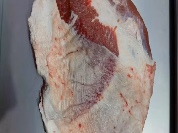 Грудной brisket бык ГОСТ halal доставка