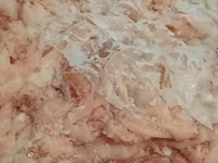 Суповой набор цыпленка бройлера — foto 2