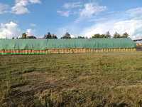 Vând paie de grîu — foto 3