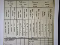 Caballo, Caballos — foto 4
