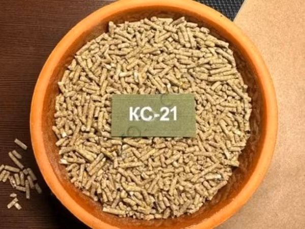 КС-21 Старт-Рост