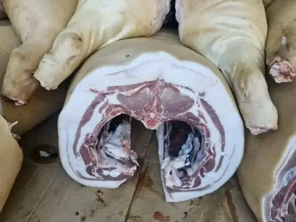 Свинину Санбрак за за личный расчет.