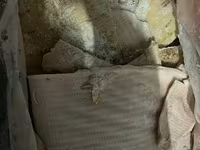 Жир свиной 3 компартмент — photo 4