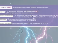 Усилитель цельного молока сухой БУСТЕРКАП НЕО — фото 3