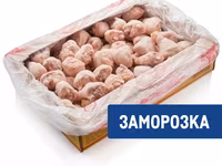 Тушка ЦБ 1с в пакете — Foto 4
