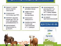 Пробиотическая кормовая добавка Амилоцин — 3 зураг
