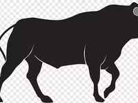 Bull, Cattle — photo 1