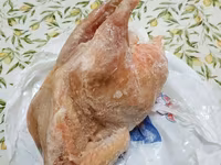 Chickens — Foto 2