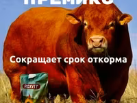 Премикс для ускоренного откомра КРС и МРС — 1 зураг