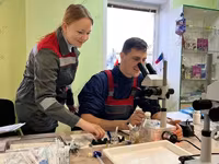 Bulle, Rinder — Foto 6