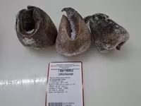 Ноги необработанные говяжьи — foto 3