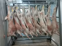 Субпродукты бараньи — фото 3