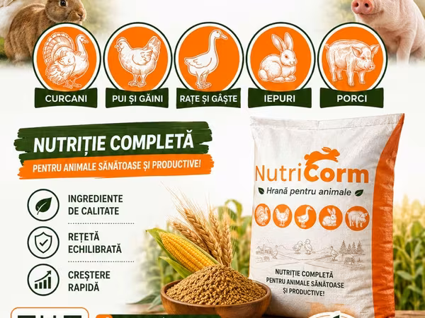 Hrana pentru pui / găini / iepuri / porci / prepelițe