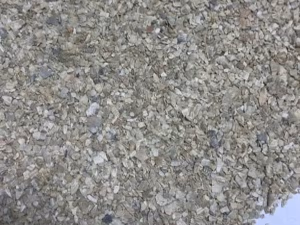 Ракушка кормовая