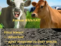 Жмых подсолнечный ракушка — 2 зураг