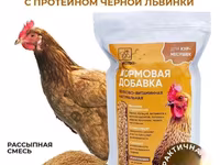 Витамины для кур несушек с Черной львинкой — foto 2
