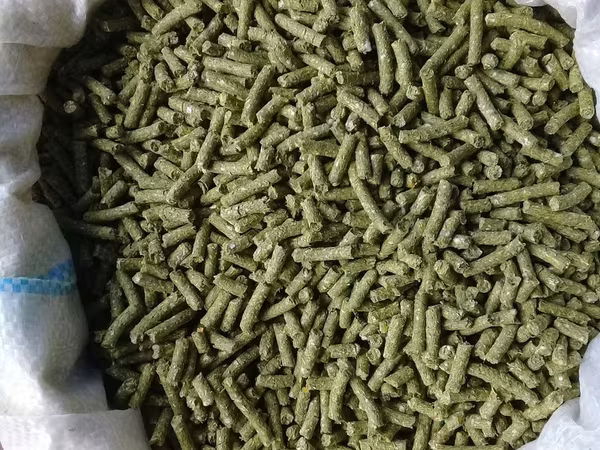 Granule pentru iepuri de calitate superioara.Edineț.facem livrare