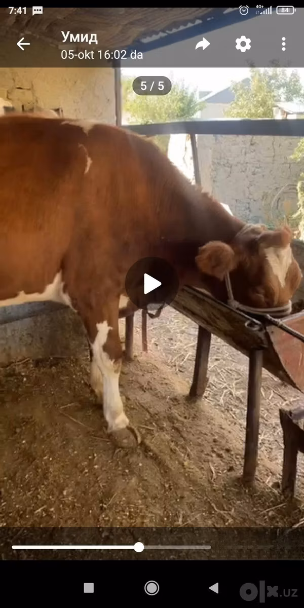 ऐरशायर